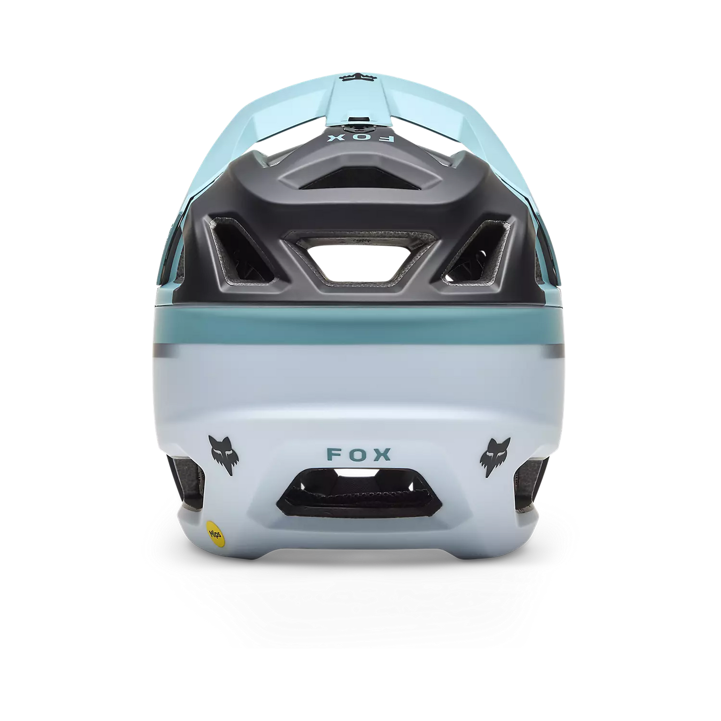 Fox 25 Proframe Rizer Helmet