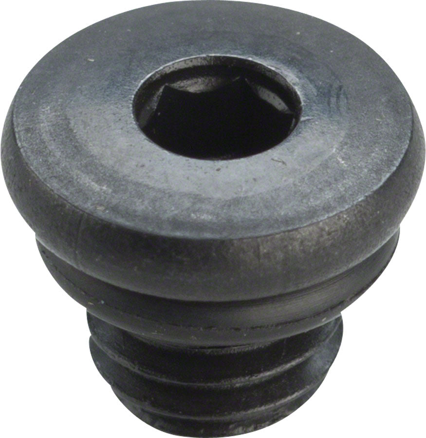Shimano XT BL-M8000 Brake Lever Bleed Screw with O-ring