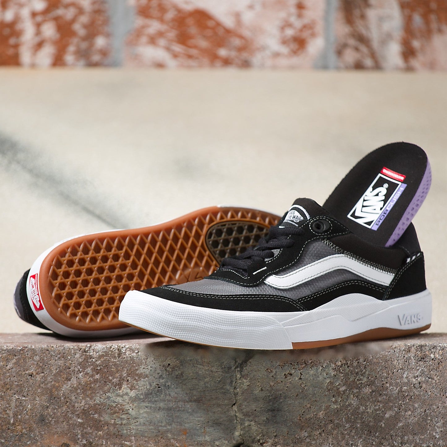Vans Skate Wayvee Black/White
