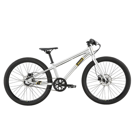 Breezer Beltway 24"