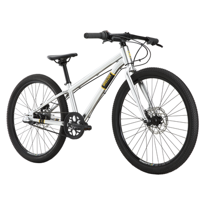 Breezer Beltway 24"