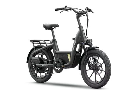 Segway MUXI Pro Cargo eBike