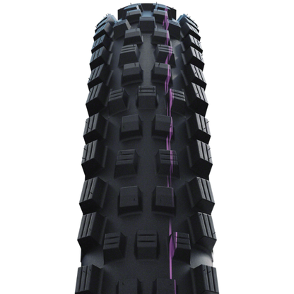 Schwalbe Magic Mary Tire - 29 x 2.50, Tubeless, Folding, Black, Evolution Line, Trail Pro, Addix Ultra Soft, Radial