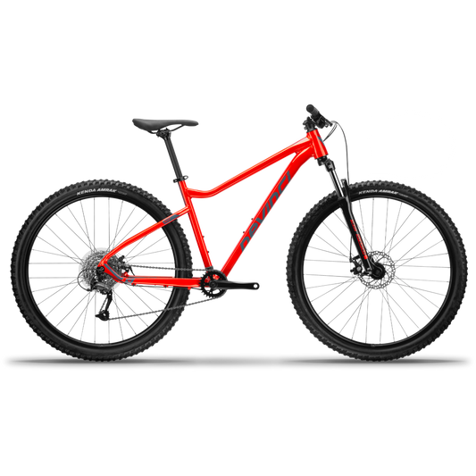 DeVinci Riff Acera 8 Speed