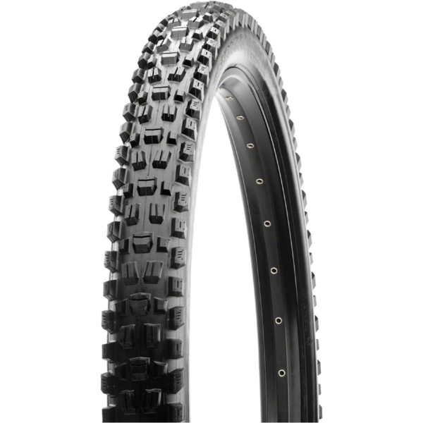 Maxxis Assegai Tire - 29 x 2.5, Tubeless, Folding, Black, 3C Maxx Terra ,EXO+, Wide Trail