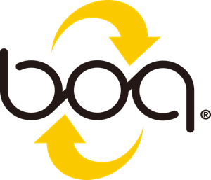 BOA Repair