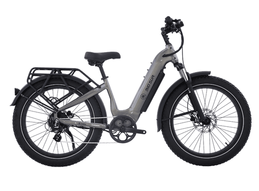 AIMA Big Sur 2.0 EBike