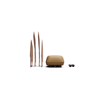 Segway eBike Muxi Passenger Kit