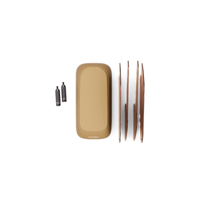 Segway eBike Muxi Passenger Kit